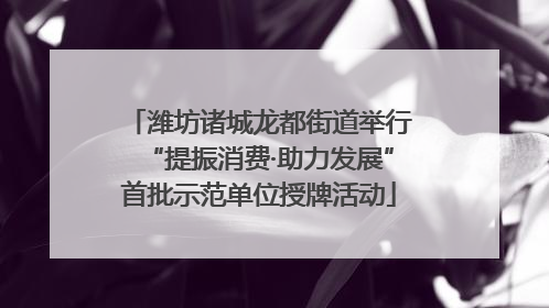 潍坊诸城龙都街道举行“提振消费·助力发展”首批示范单位授牌活动