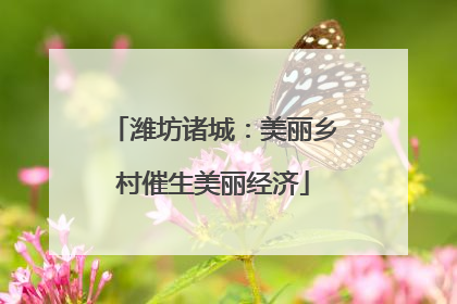 潍坊诸城：美丽乡村催生美丽经济