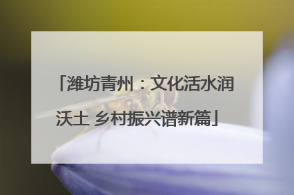 潍坊青州：文化活水润沃土 乡村振兴谱新篇