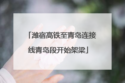 潍宿高铁至青岛连接线青岛段开始架梁