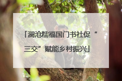 澜沧糯福国门书社促“三交”赋能乡村振兴
