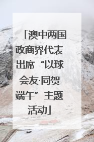 澳中两国政商界代表出席“以球会友·同贺端午”主题活动
