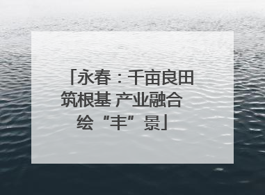 永春：千亩良田筑根基 产业融合绘“丰”景