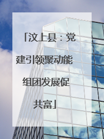 汶上县：党建引领聚动能 组团发展促共富