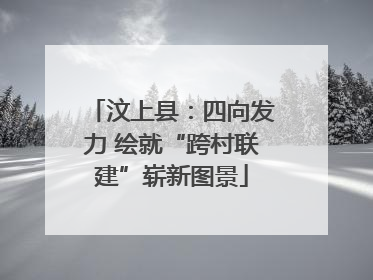 汶上县：四向发力 绘就“跨村联建”崭新图景