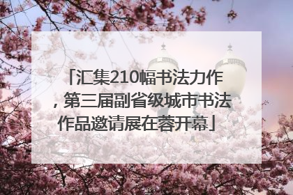 汇集210幅书法力作，第三届副省级城市书法作品邀请展在蓉开幕