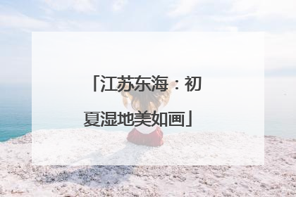 江苏东海：初夏湿地美如画