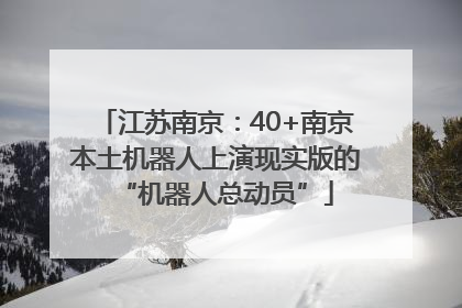 江苏南京：40+南京本土机器人上演现实版的“机器人总动员”