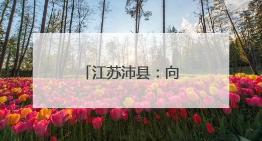 江苏沛县：向“智”求新“煤城”焕新机