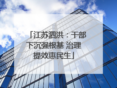 江苏泗洪：干部下沉强根基 治理提效惠民生