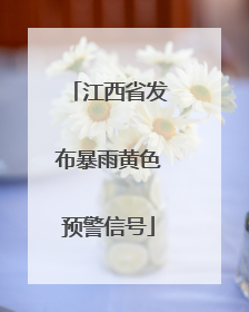 江西省发布暴雨黄色预警信号
