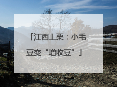 江西上栗：小毛豆变“增收豆”