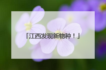 江西发现新物种！