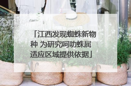 江西发现蜘蛛新物种 为研究呵叻蛛属适应区域提供依据
