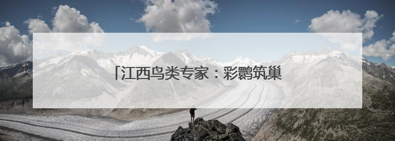 江西鸟类专家：彩鹮筑巢或撬动全年观鸟经济链