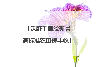 沃野千里绘新景 高标准农田保丰收