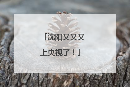 沈阳又又又上央视了！