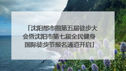 沈阳都市圈第五届徒步大会暨沈阳市第七届全民健身国际徒步节报名通道开启