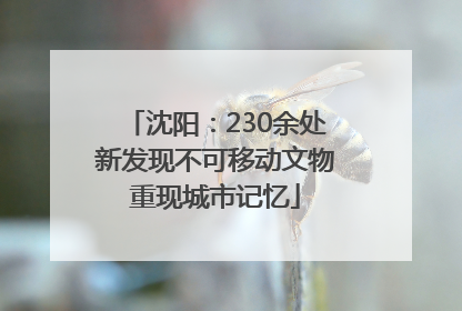 沈阳：230余处新发现不可移动文物重现城市记忆