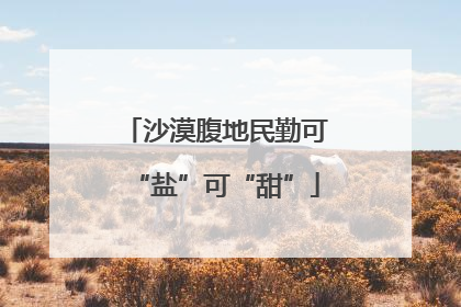 沙漠腹地民勤可“盐”可“甜”