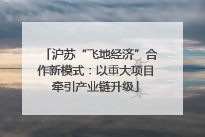 沪苏“飞地经济”合作新模式：以重大项目牵引产业链升级