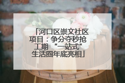 河口区崇文社区项目：争分夺秒抢工期 “一站式”生活圈年底亮相