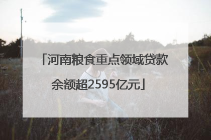 河南粮食重点领域贷款余额超2595亿元