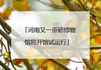 河南又一重磅博物馆将开馆试运行