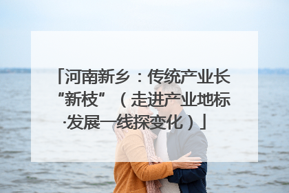 河南新乡：传统产业长“新枝”（走进产业地标·发展一线探变化）
