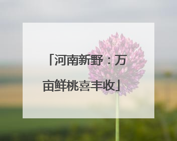 河南新野：万亩鲜桃喜丰收