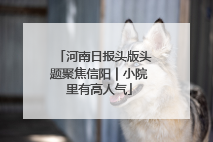 河南日报头版头题聚焦信阳｜小院里有高人气