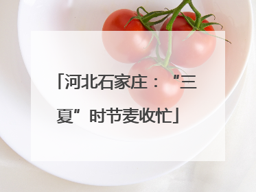 河北石家庄：“三夏”时节麦收忙