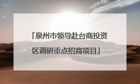 泉州市领导赴台商投资区调研重点招商项目
