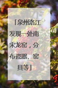 泉州洛江发现一处南宋龙窑，分布瓷器、窑具等