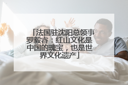 法国驻沈阳总领事罗毅睿：红山文化是中国的瑰宝，也是世界文化遗产