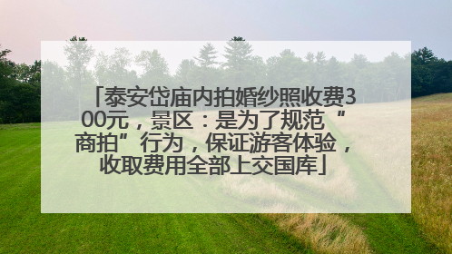 泰安岱庙内拍婚纱照收费300元，景区：是为了规范“商拍”行为，保证游客体验，收取费用全部上交国库