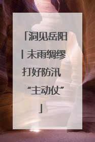 洞见岳阳丨未雨绸缪 打好防汛“主动仗”