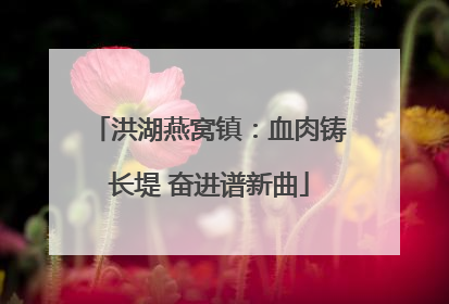 洪湖燕窝镇：血肉铸长堤 奋进谱新曲