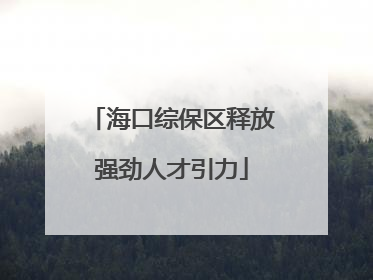 海口综保区释放强劲人才引力
