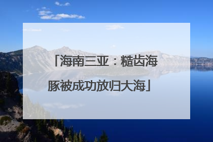 海南三亚：糙齿海豚被成功放归大海
