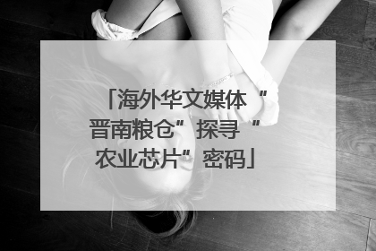 海外华文媒体“晋南粮仓”探寻“农业芯片”密码