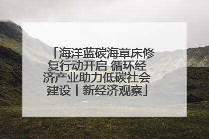 海洋蓝碳海草床修复行动开启 循环经济产业助力低碳社会建设丨新经济观察