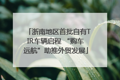 浙南地区首批自有TIR车辆启程 “购车远航”助推外贸发展