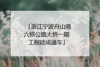 浙江宁波舟山港六横公路大桥一期工程建成通车