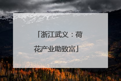浙江武义：荷花产业助致富