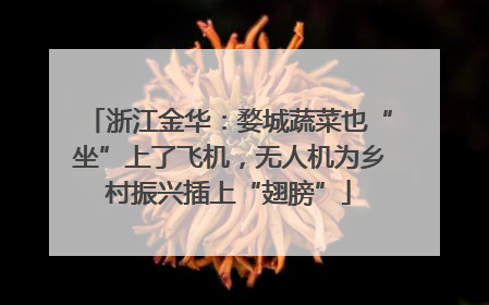 浙江金华：婺城蔬菜也“坐”上了飞机，无人机为乡村振兴插上“翅膀”