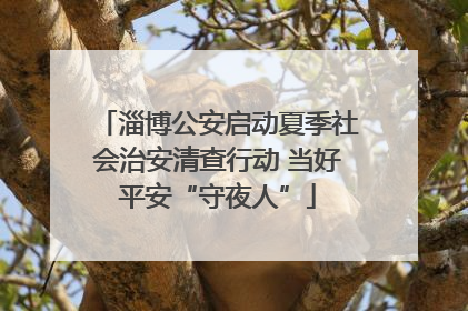 淄博公安启动夏季社会治安清查行动 当好平安“守夜人”