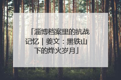 淄博档案里的抗战记忆｜姜文：黑铁山下的烽火岁月
