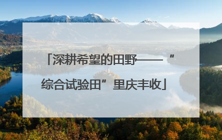 深耕希望的田野——“综合试验田”里庆丰收