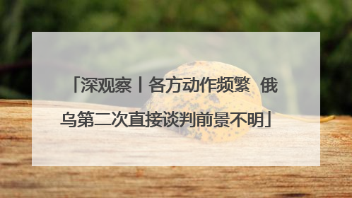 深观察丨各方动作频繁  俄乌第二次直接谈判前景不明